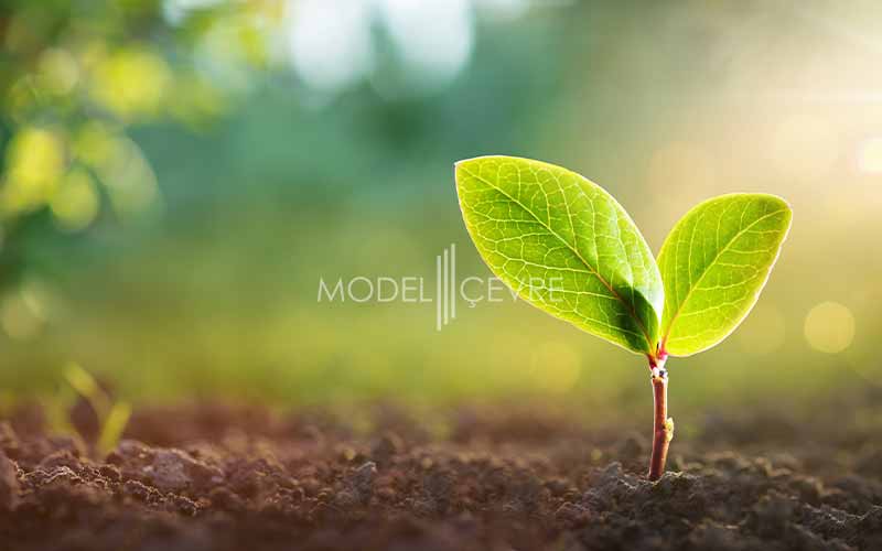 Çevresel Etki Değerlendirmesi (ÇED) Hizmeti - Model Çevre